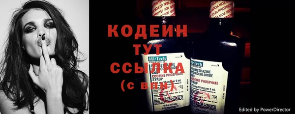 сатива Балахна