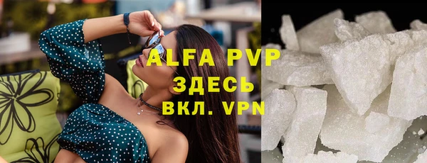 сатива Балахна