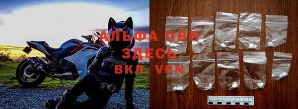 сатива Балахна