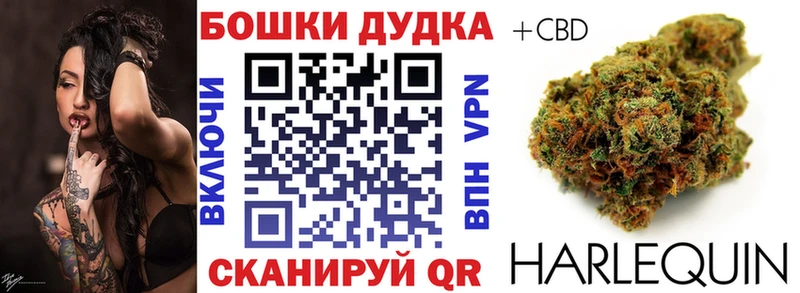 дарнет шоп  Пошехонье  Марихуана Amnesia 